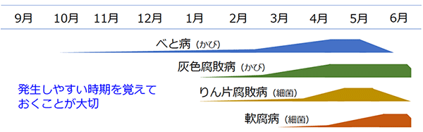 発生しやすい時期を覚えておくことが大切