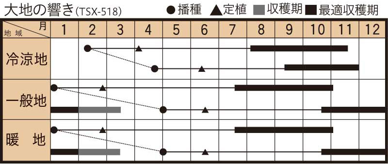 作型