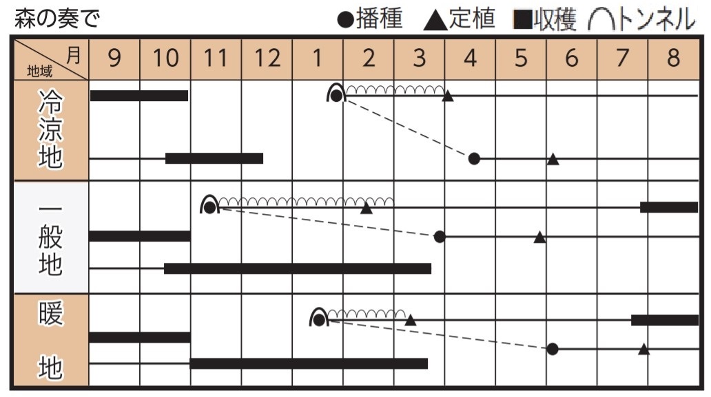 作型