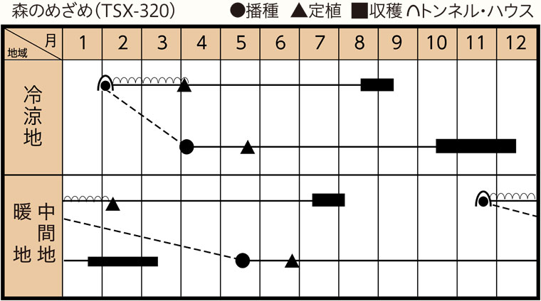 作型