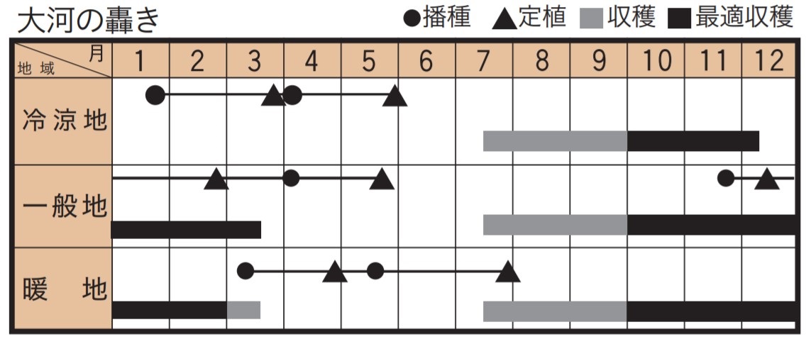 作型