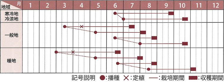 栽培適期表
