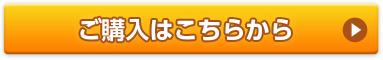 ご購入はこちらから