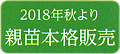 2018年秋より 親苗本格販売