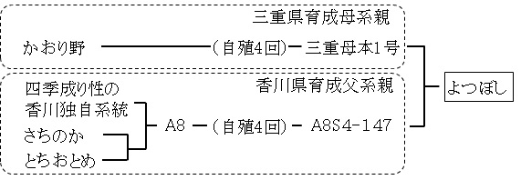 よつぼしイチゴの図